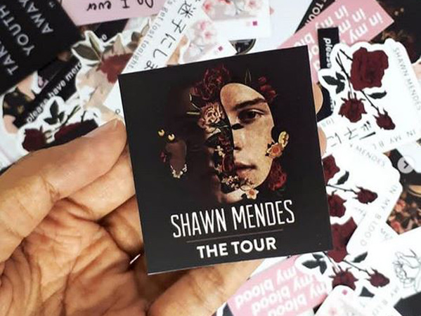 Shawn Mendes Siap Konser di Indonesia, Ini Bocoran Harga Tiketnya