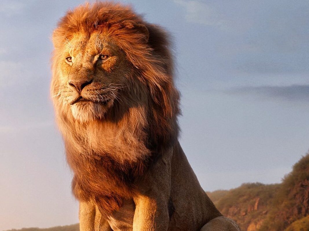 Prekuel 'The Lion King' Bakal Tayang Tahun 2024