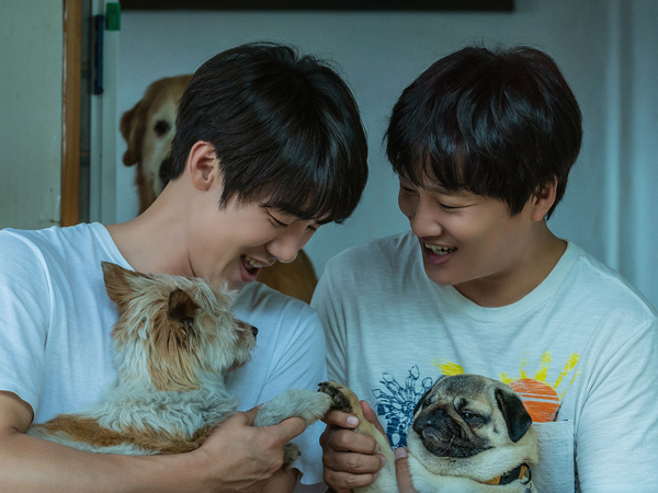 Yoo Yeon Seok dan Cha Tae Hyun Jadi Pengasuh Anjing Menggemaskan di Film Terbaru