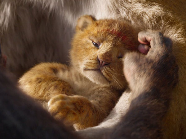 Pecahkan Rekor, Film Live-Action 'The Lion King' Justru Mengundang Perdebatan Netizen
