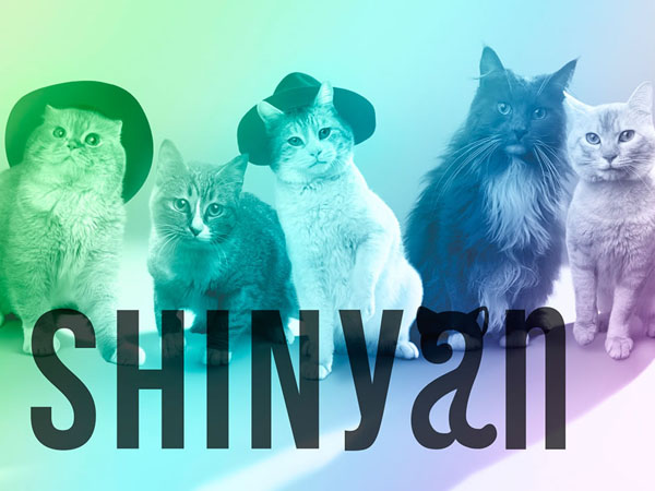 Kenalan dengan SHINyan, Grup 'Pengganti' SHINee di Jepang yang Menggemaskan!