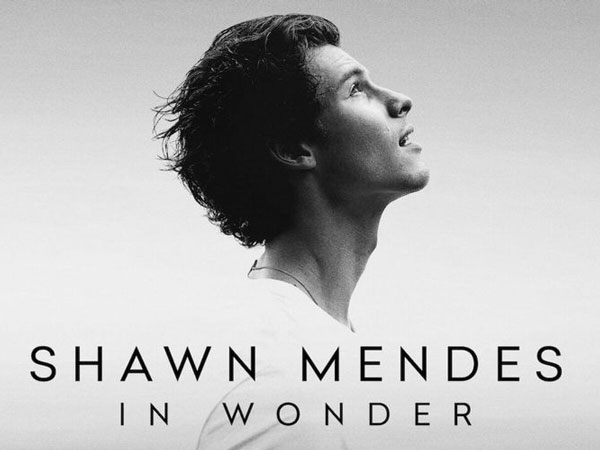 Review Film Dokumenter 'Shawn Mendes: In Wonder': Seperti Ada yang Kurang