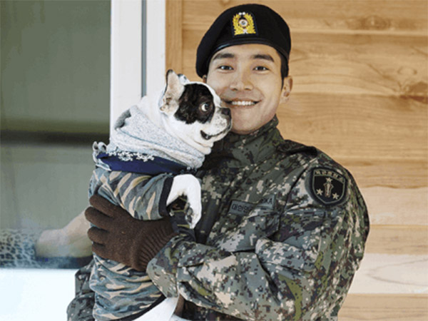 Keluarga Siwon Dijatuhi Hukuman Ini Atas Kelalaian Anjing Peliharaannya