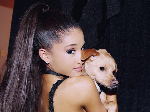 Wah, Ariana Grande Ajarkan Anjing Peliharaannya Bernyanyi?