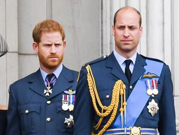 Pakar Kerajaan Inggris Ungkap Hubungan Pangeran William dan Pangeran Harry yang Renggang