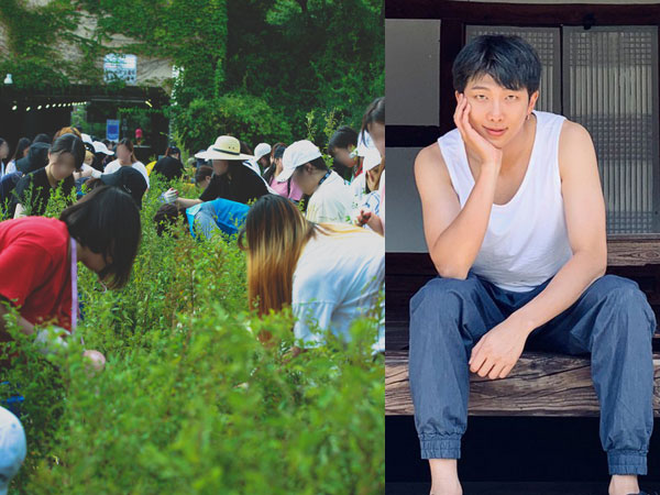 Fans Hadiahkan Hutan untuk Ulang Tahun RM BTS, Intip Foto-fotonya