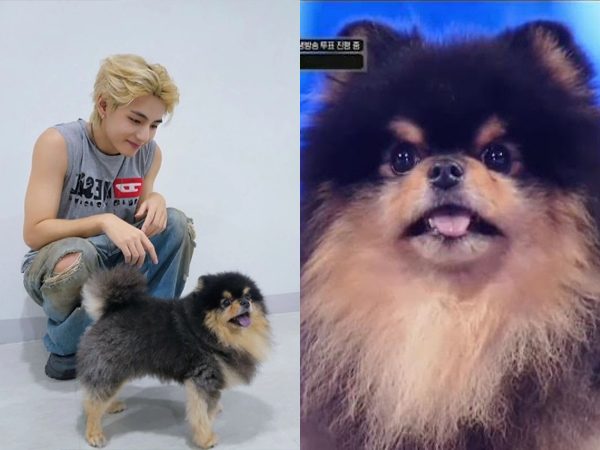 Gemasnya Yeontan Ikut Debut Stage Bareng V BTS di 'M Countdown'