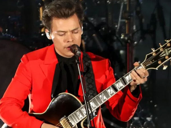 Harry Styles Alami Pelecehan Seksual Saat Konser