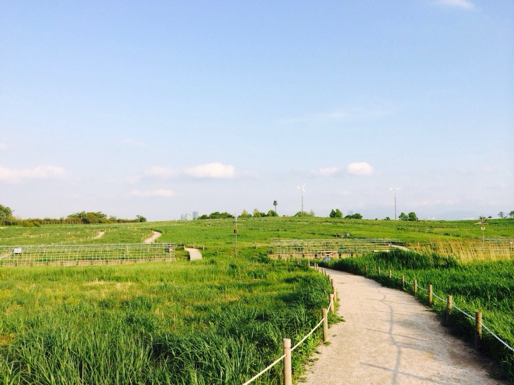 Haneul Sky Park Seoul Tempat Pembuangan Yang Disulap Menjadi