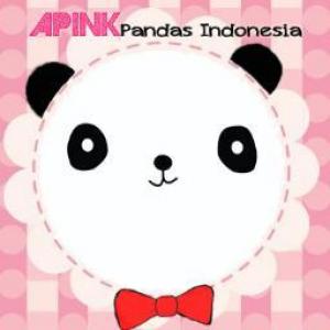 APinkPandas_INA