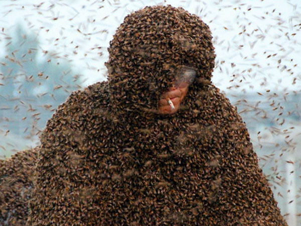 Diselimuti Jutaan Lebah, Pria Ini Berhasil Pecahkan Rekor Dunia!
