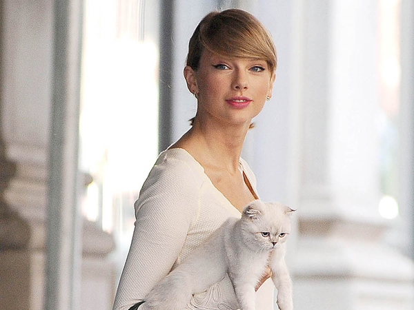 Wah, Akan Ada Tandatangan Kucing Taylor Swift di Album '1989'?