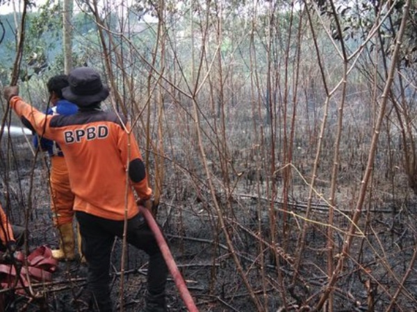 Belum Juga Padam, Kabut Asap Mulai Menutupi Langit Calon Ibu Kota Baru