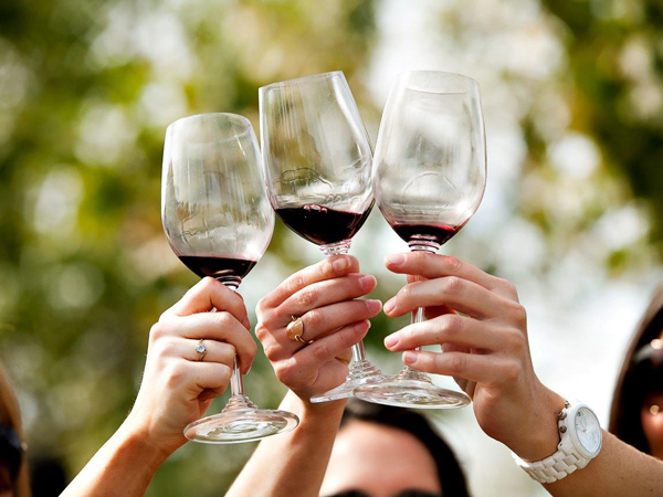 Sering Dilakukan, Ternyata Ini Lho Arti Kata 'Cheers!' yang Sering Diucapkan Saat Minum Wine