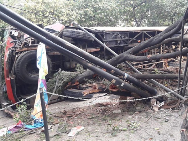 Penyebab Tabrakan Keras dan Tergulingnya Bus TransJakarta di Patal Senayan Tumbangkan Pohon hingga Tiang