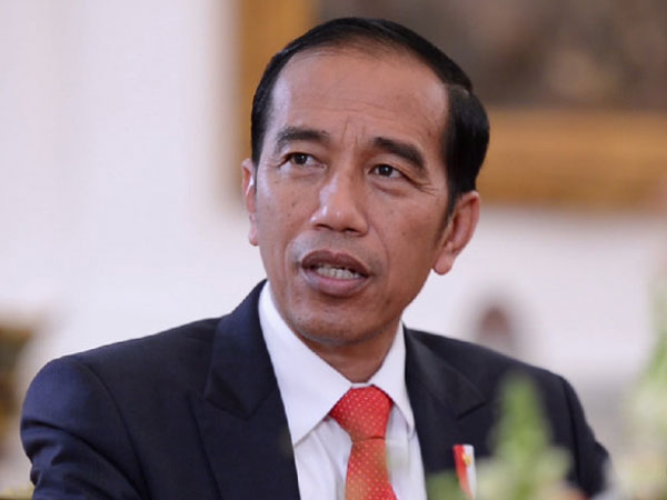 Potret Sapi Sumbangan Jokowi ke Masjid di Sulawesi Utara, Tegap Berotot!