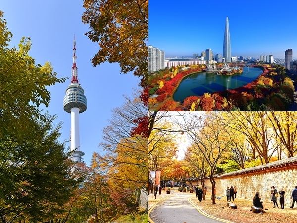 5 Destinasi Wisata Musim Gugur Paling Indah di Seoul