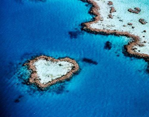 Heart Reef, Gugusan Karang Berbentuk Hati di Australia