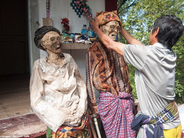 Hii, Berani Liburan Sambil Menyaksikan ‘Walking Dead’ Sungguhan di Toraja, Indonesia?