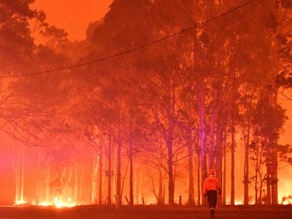 Kebakaran Masih Berkobar, Australia Denda Ratusan Juta Bagi Siapa Pun yang Buang Puntung Rokok Menyala