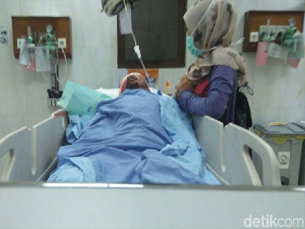 Pasangan Suami-Istri di Riau Diduga Diserang Beruang, Sang Istri Tewas!