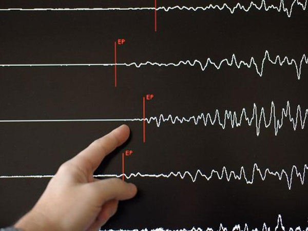 Ada Susulan Lebih Besar Dari Getaran Pertama, Gempa Tuban Viral Terasa Hingga Bandung dan Bali?