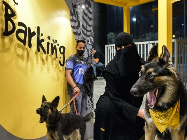 Intip Kafe Pertama di Arab Saudi yang Perboleh Bawa Anjing Peliharaan