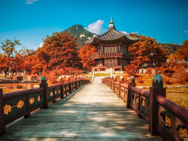 Seberangi Jembatan Waktu di Istana Gyeongbokgung Musim Gugur Tahun Ini!