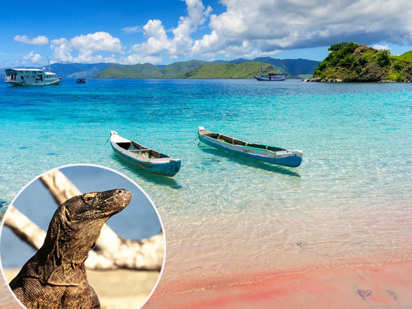 Tak Direkomendasikan di Dua Bulan Ini ke Pulau Komodo, Apa Alasannya?