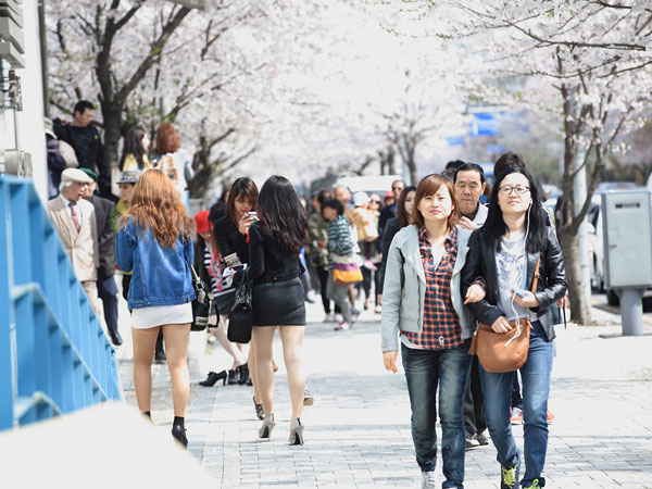 Menikmati Kehangatan dan Cantiknya Musim Semi di Taman Yeouido Hangang