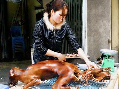 Dikecam, Festival Daging Anjing Berlanjut