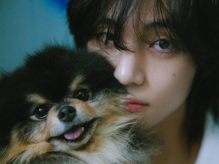 V BTS Bagikan Kabar Yeontan, Anjing Peliharaannya Meninggal