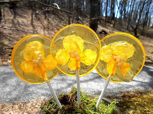 Cantik! Lollipop Ini Terbuat Dari Bunga Asli Namun Tetap Dapat Dimakan