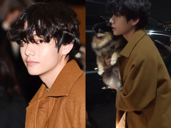 Penampilan Perdana Anjing Peliharaan V BTS, Yeontan di Bandara yang Bikin Gemas