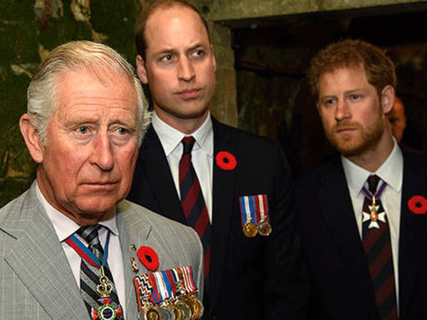 Pangeran Harry dan William Sempat Mohon Raja Charles untuk Tidak Menikahi Camilla
