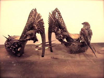 Wah, High Heels Ini Terbuat dari Burung yang Diawetkan!