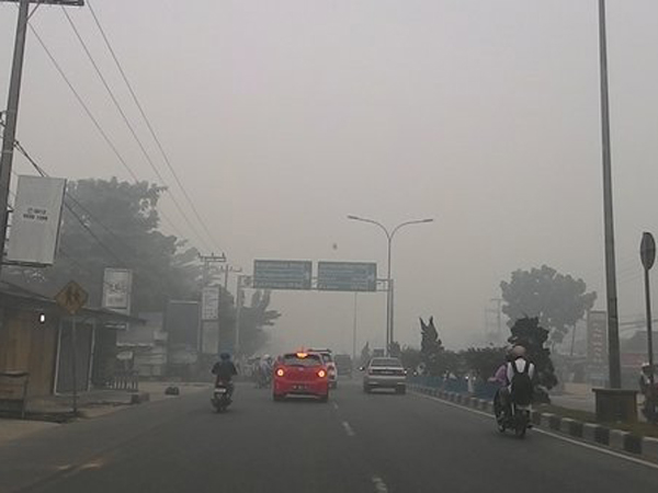 Kualitas Udara Semakin Memburuk, Kota Pekanbaru Sudah Tak Layak Dihuni