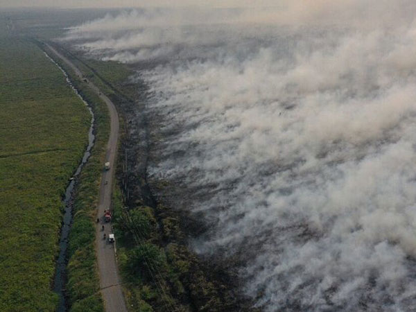 Kebakaran Kalimantan Darurat Asap, Apa Kabar Lokasi Ibu Kota Baru Indonesia?