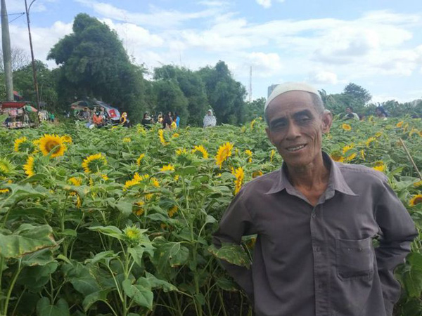 Cerita Masyari yang Tak Sengaja Membuat Kebun Bunga Matahari Jadi Objek Wisata Viral