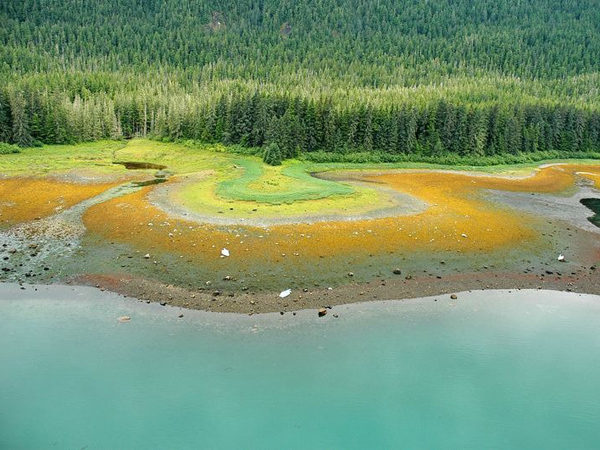 Unik! Ternyata Alaska Punya Banyak Garis Pantai yang Aneh