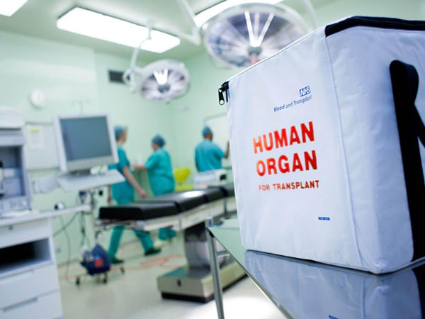 Selain Ginjal, Beberapa Organ Tubuh Ini Juga Bisa Didonorkan