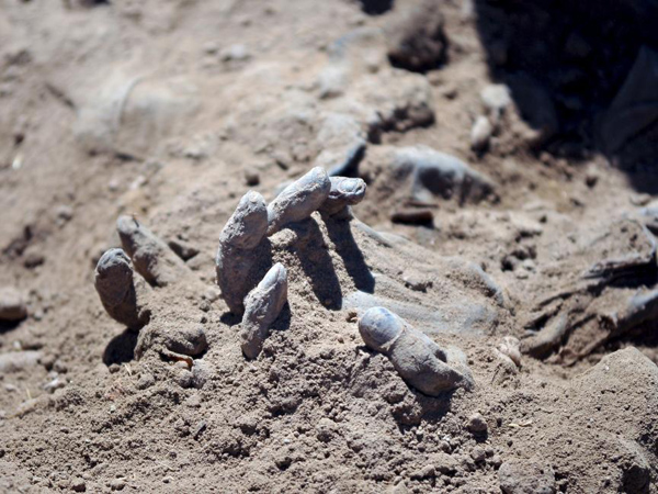 Kuburan Massal Tentara Korban ISIS Ditemukan Di Irak!