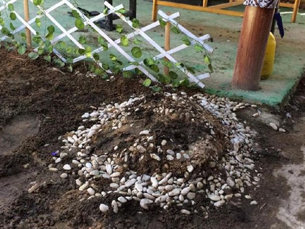 Geger Penemuan Makam Kecil di Kontrakan Keraton Agung Sejagat, Isinya Setengah Janin!