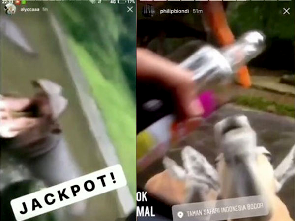 Viral, Video Remaja Beri Minuman Beralkohol pada Hewan di Taman Safari