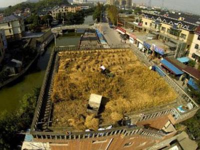 Wah, Di China Petani Menggarap Sawah Diatas Gedung