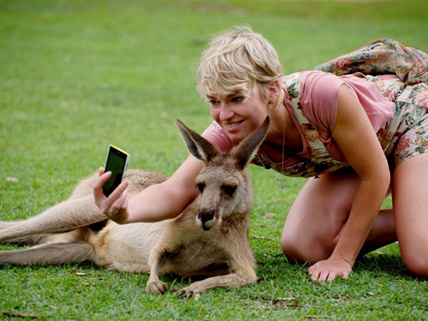 Jangan Berlebihan, Turis Diminta Hentikan Selfie Dengan Hewan Liar