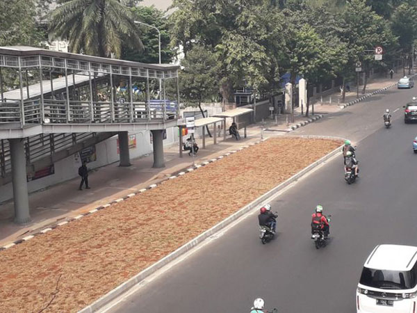 Bingungnya Warga Karena Penempatan Rumput Pisahkan Halte Bus dengan Jalan Raya Ini