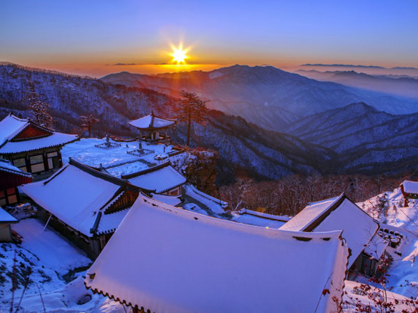 Lebih Mudah 'Lahap' PyeongChang dalam Sehari Lewat Jalur Gyeonggang!