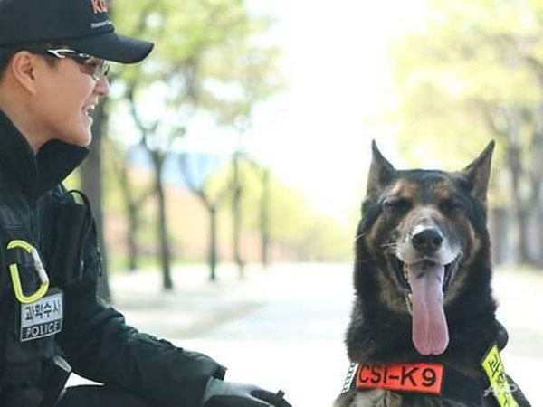 Anjing Polisi Korea Selatan yang Mati Digigit Ular Dapatkan Pernghormatan Khusus