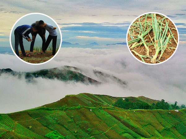 Libur Long Weekend, Satu Lagi Lokasi Wisata Yang ‘Rusak’ Karena Pengunjung Selfie